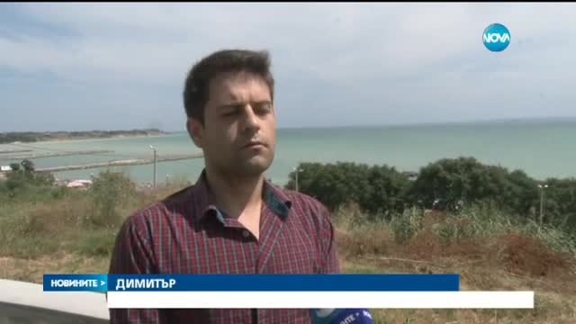 Танцуваща муха се превърна в интернет сензация