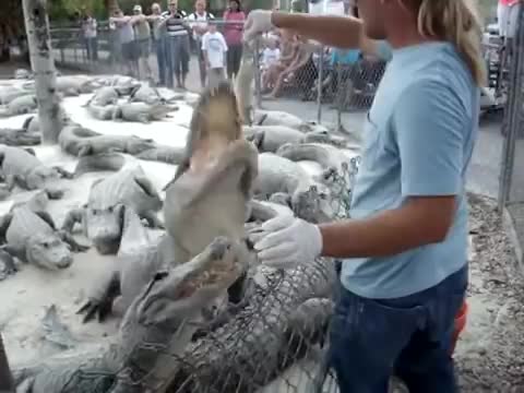 Не правете това в зоопарка, ако искате да останете цели! Доста опасна игра!