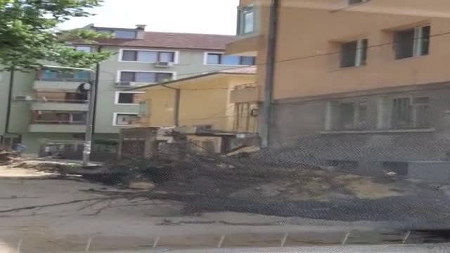 Отсечени дървета без предупреждение!