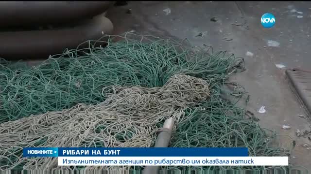 Новините на NOVA (05.01.2017 - обедна емисия)