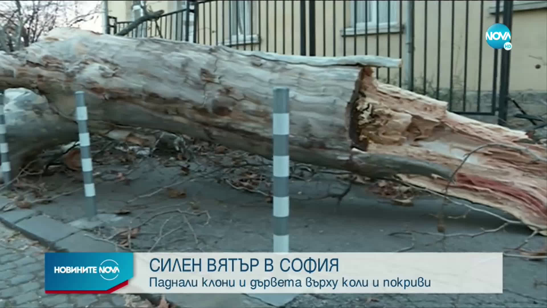 Сигнали за паднали клони и огради след силния вятър в София