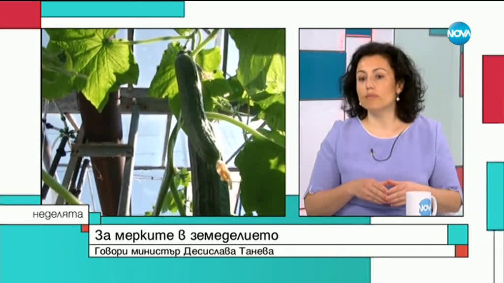 Земеделският министър: Няма дискриминация, няма квоти при храните