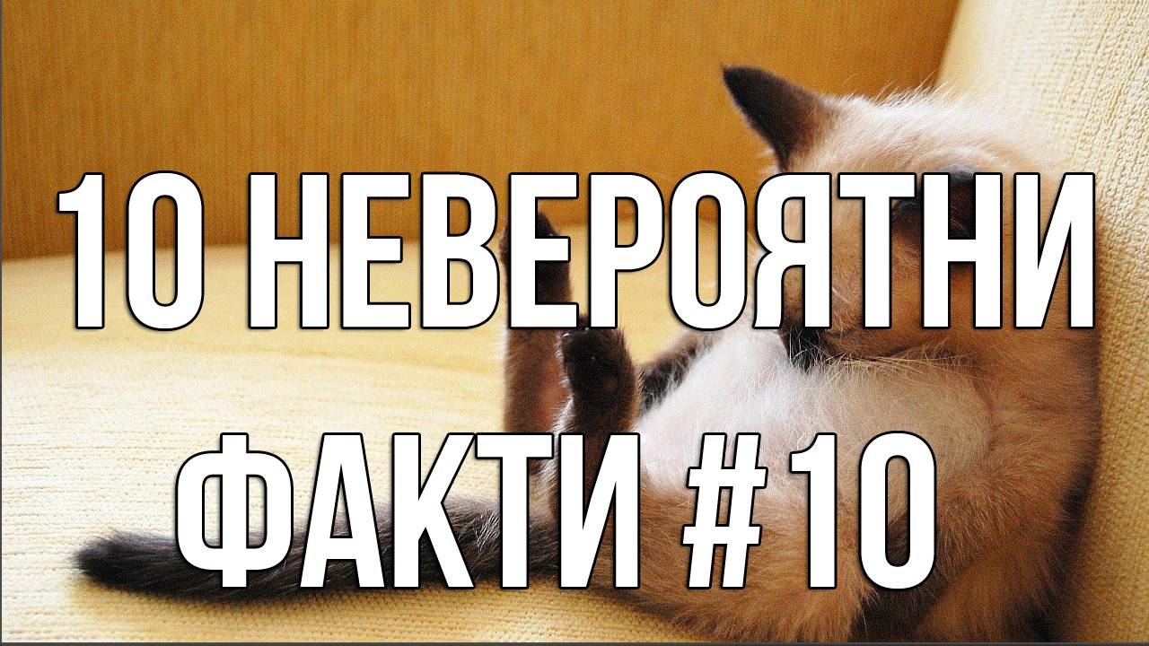 10 Невероятни факти #10