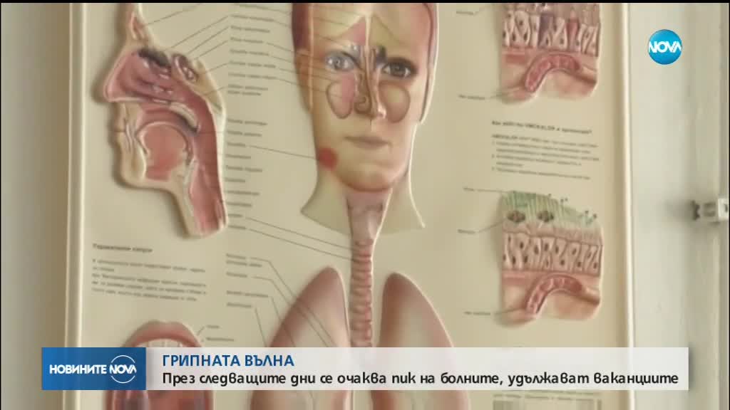 Пик на грипната епидемия се очаква през тази и следващата седмица
