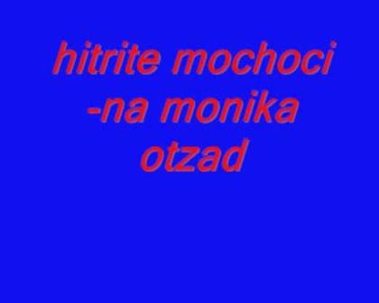 Хитрите Ме4оци - На Моника Отзад