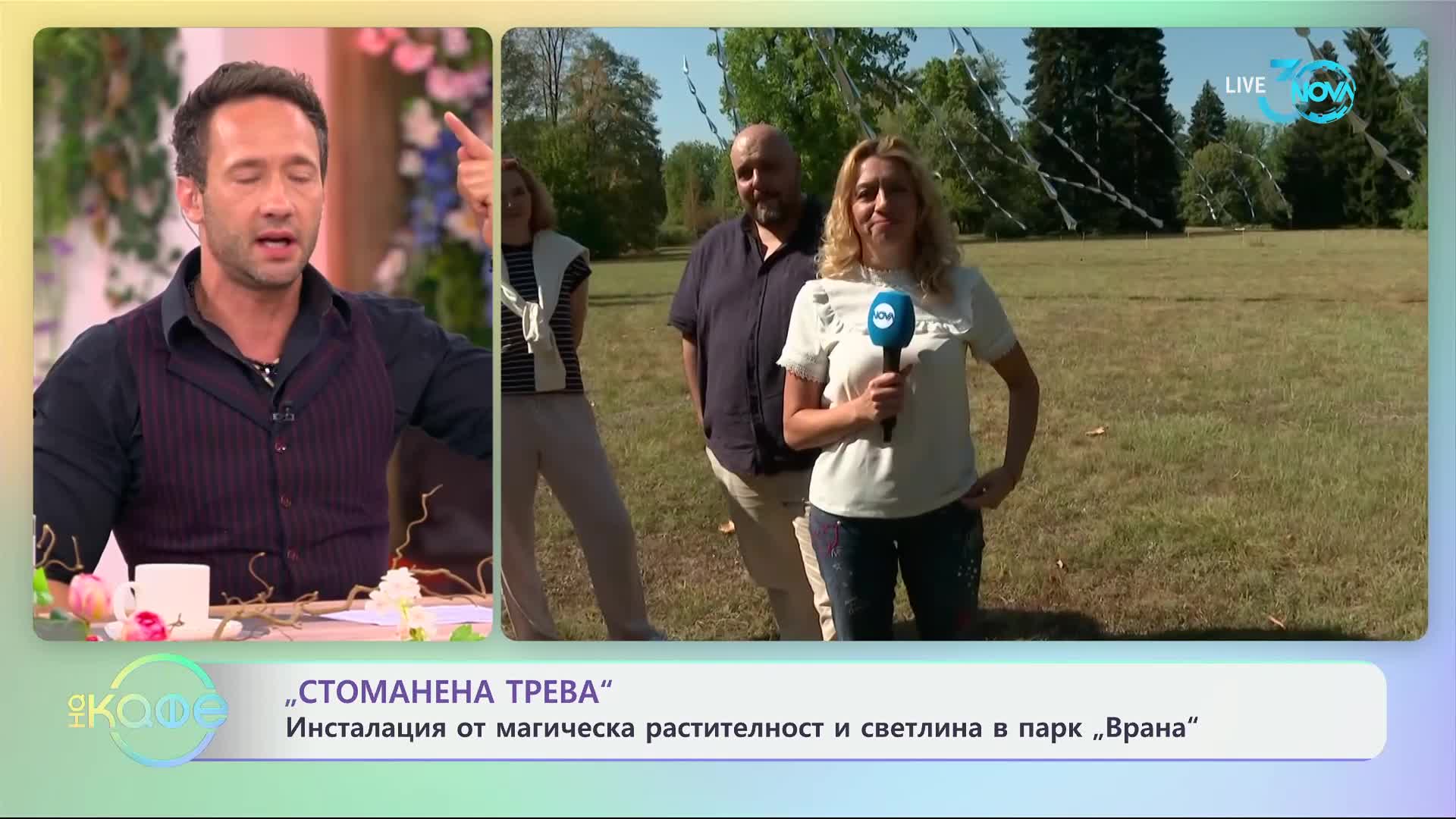 „Стоманена трева": Инсталация от магическа растителност в парк „Врана"- „На кафе“ (24.07.2024)