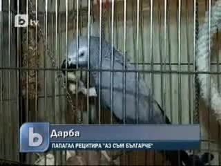 Папагал рецитира ` Aз съм Българче`