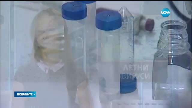 Вируси ни атакуват в разгара на лятото