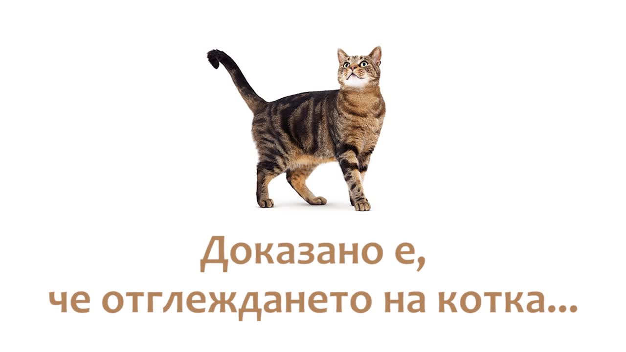 Хитринки, които не знаеш