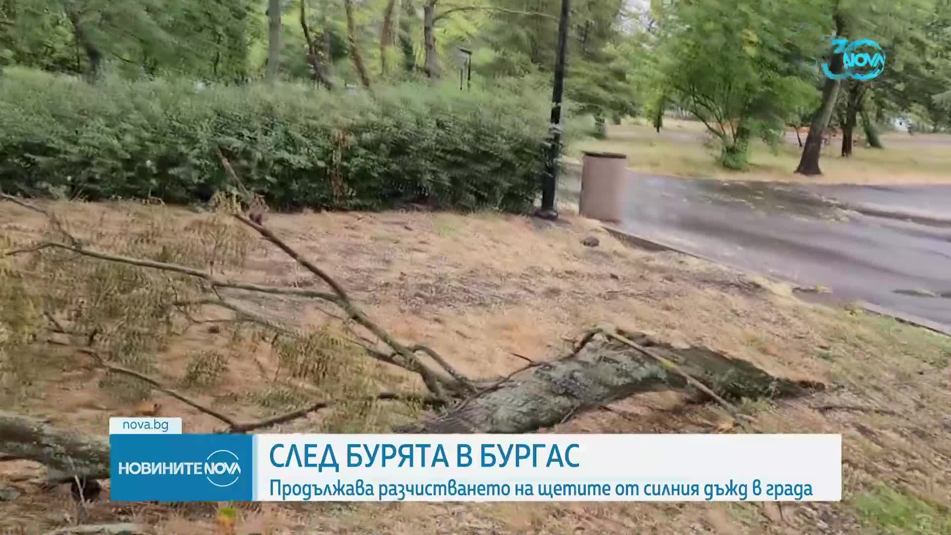 Продължава разчистването след силната буря в Бургас