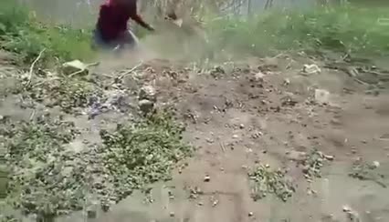 Ядосана маймунка налита на бой с човек - много смях!