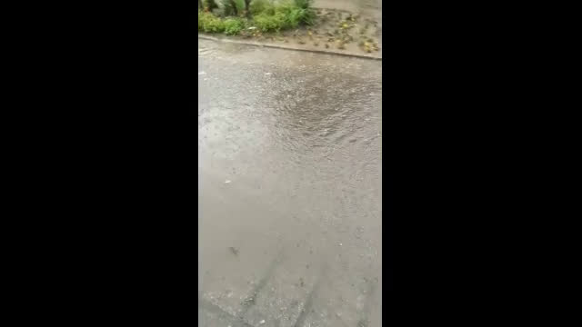 "Моята новина": Пороен дъжд