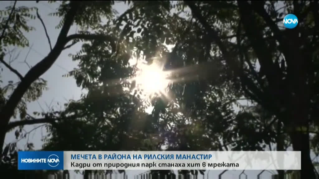 Какво означава появата на мечка с нейните малки в близост до хората?
