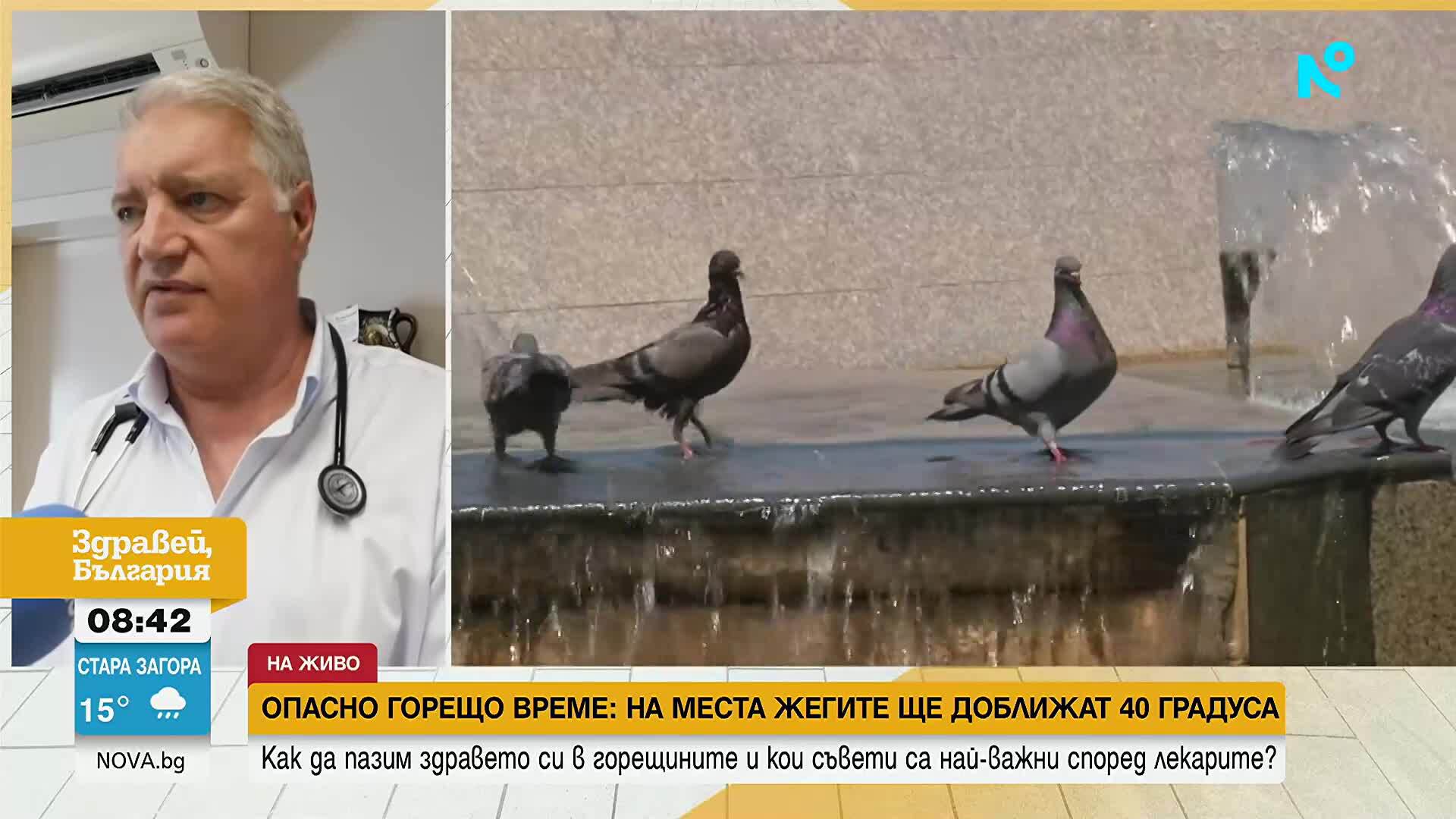 Как да пазим здравето си в горещините и кои съвети са най-важни според лекарите