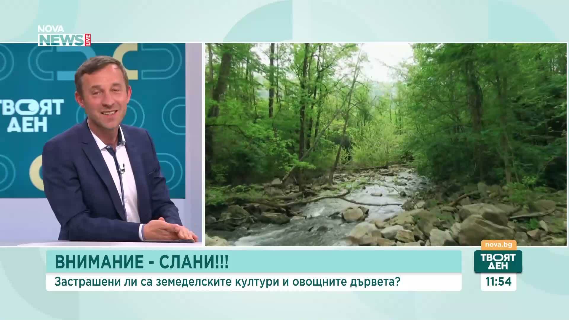 Кога започва истинската пролет