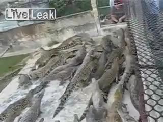 Как завършва това видео ? ;д