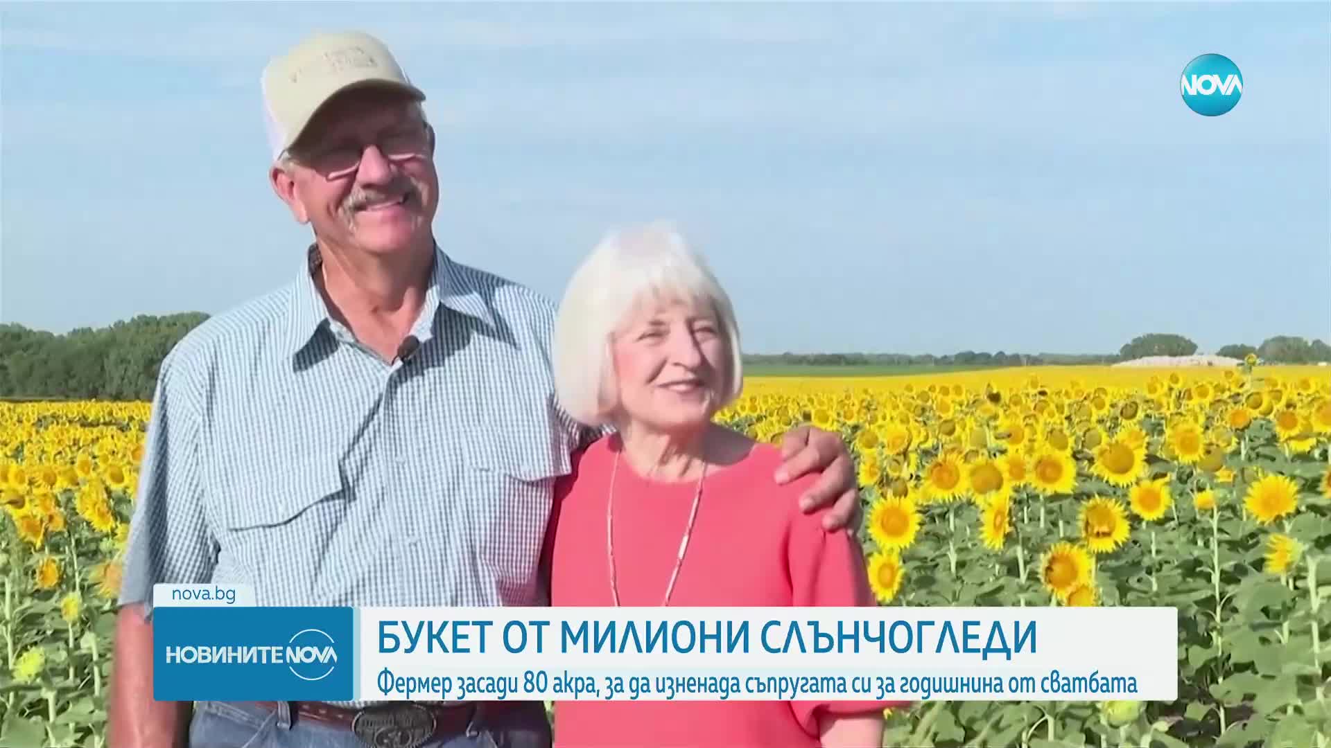 Американски фермер подари на съпругата си букет от 1,2 милиона слънчогледа
