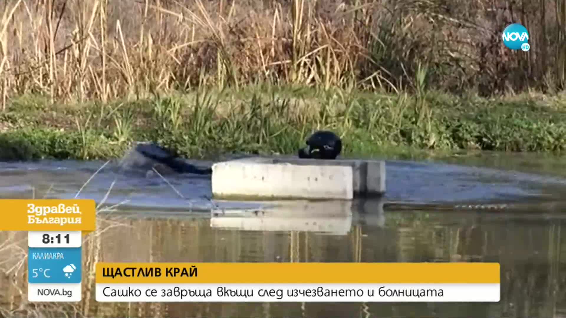 Бащата на Сашко след изписването от болницата: Той е герой, има невероятни възможности