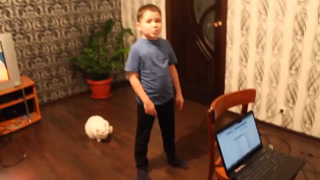 Търпението на тази котка се изчерпа