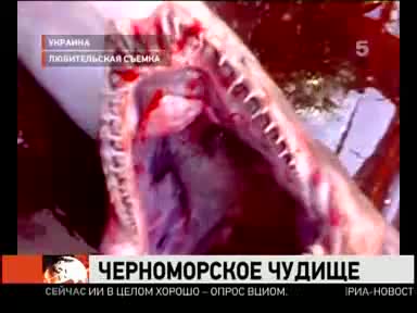 Чудовище в Черно море 