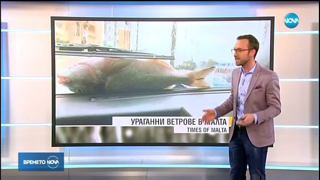 Прогноза за времето (25.02.2019 - обедна)