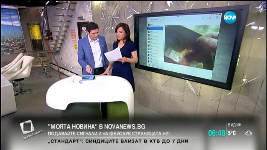 „Моята новина”: Свирепи кучета нападат коли