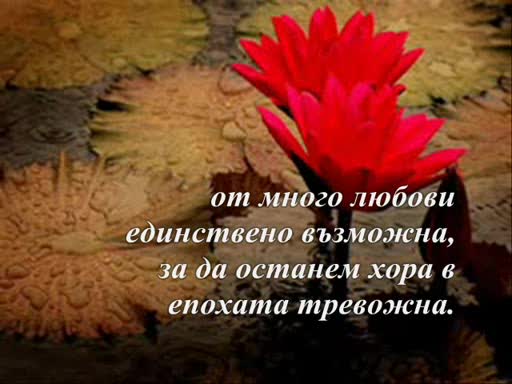 Недялко Йорданов - Любов Необяснима