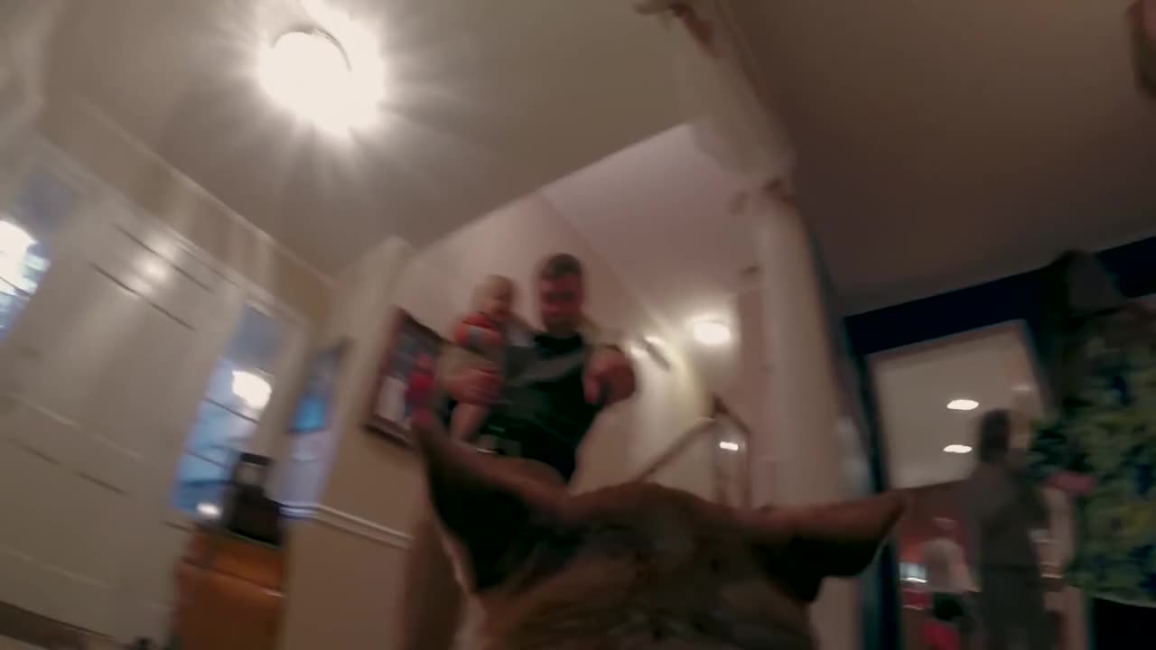 Куче заснема сватбата на своите стопани с Gopro камера!
