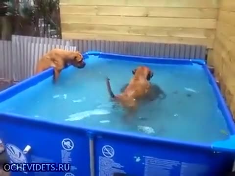 Мисията възможна
