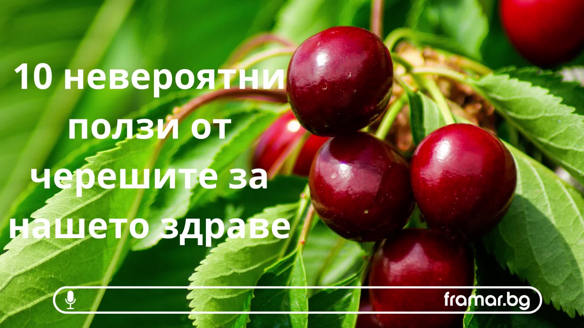 Ползи за здравето от черешите (аудио статия)