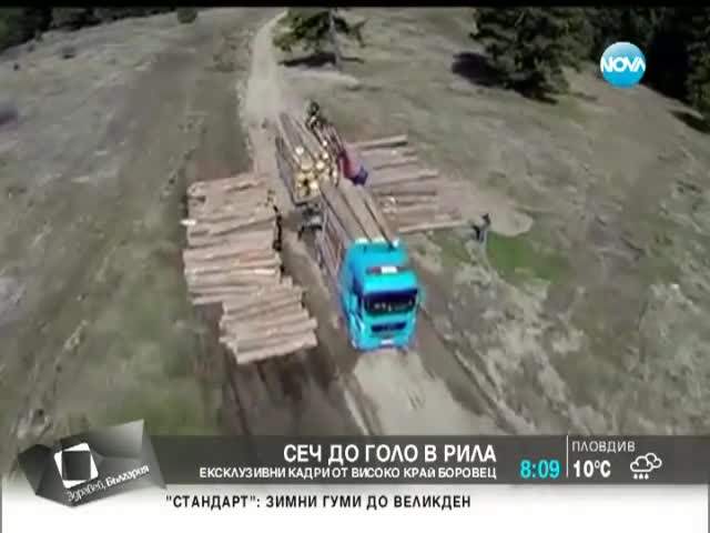 Незаконна сеч. Кой изсича горите - Здравей, България (18.04.2014г.)