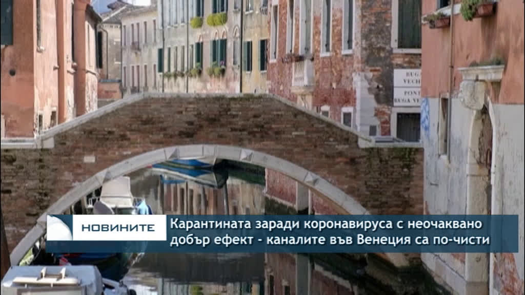 Каналите на Венеция са чисти и пълни с рибки заради карантината, въведена от италианските власти