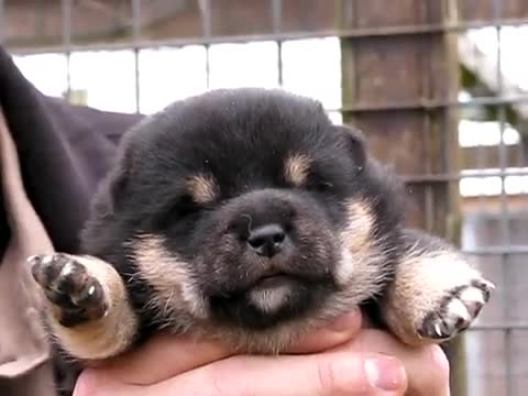 Малък бонбон:)