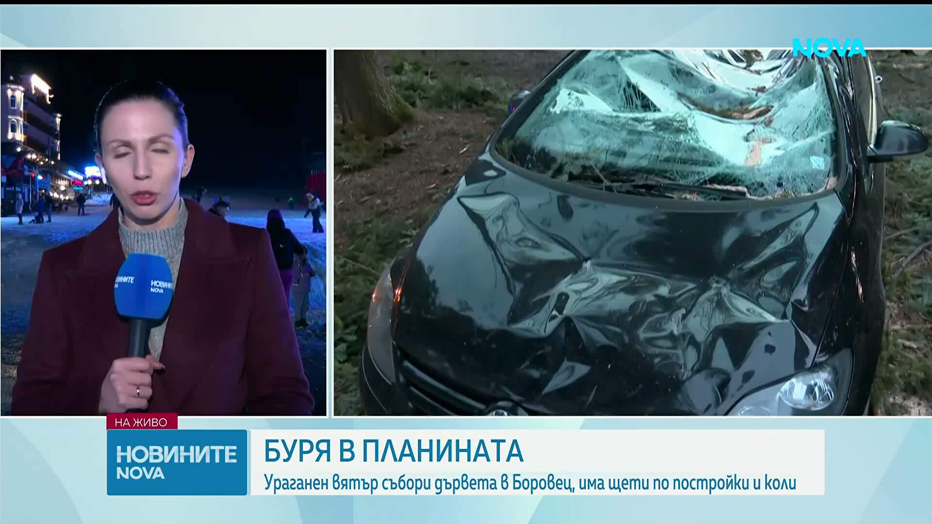 Задействаха BG-ALERT в Самоковско, ураганният вятър изкорени дървета на  Боровец