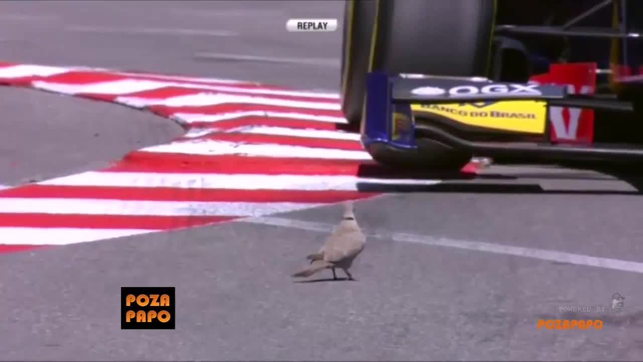 Гугутка vs. болит от Формула 1 - Monaco Grand Prix 2013
