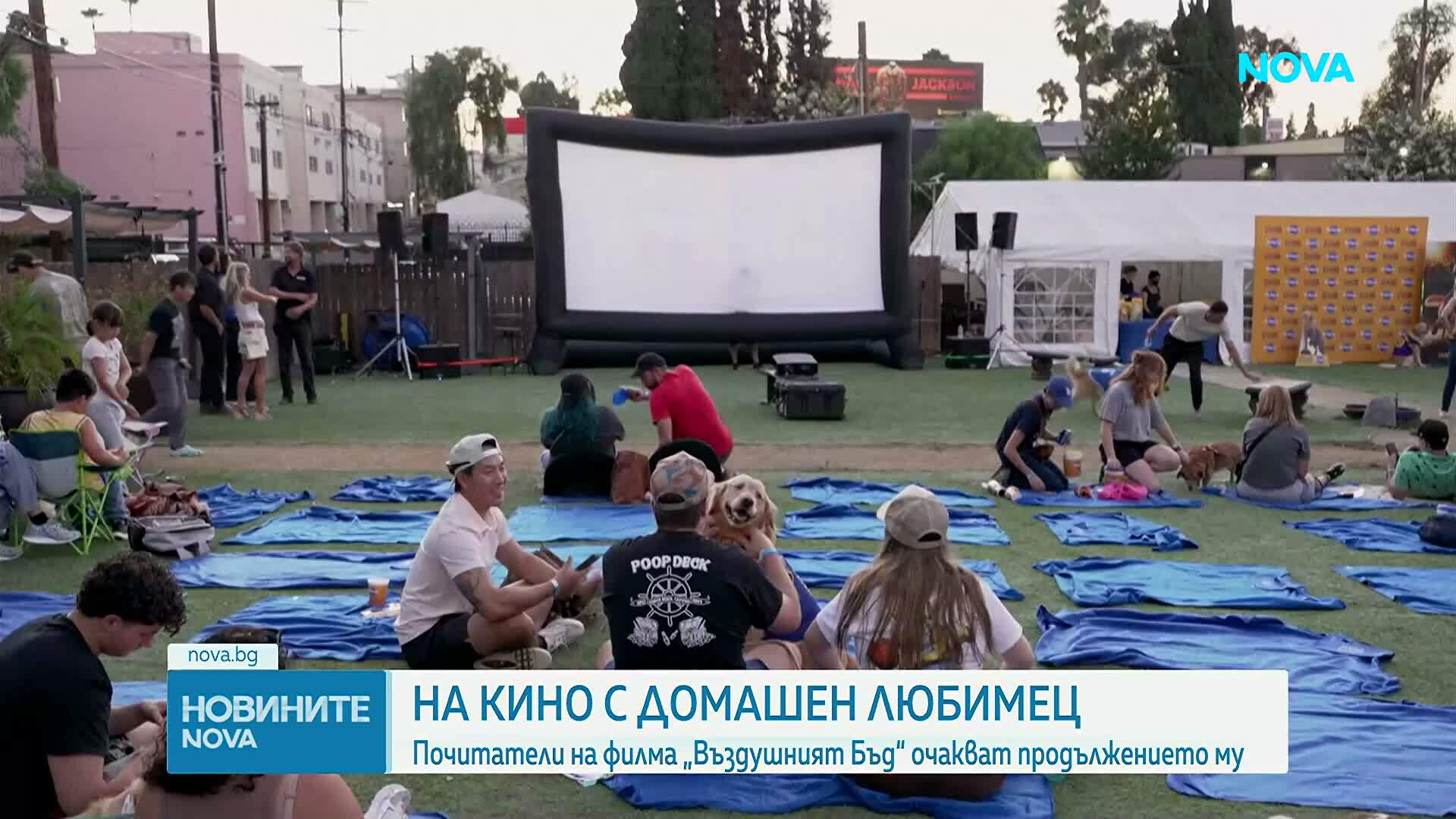 Кучета и стопаните им гледаха „Въздушният Бъд“ на кино под открито небе в Лос Анджелис