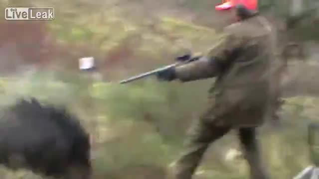Диво прасе напада Ловджия с много бърз рефлекс