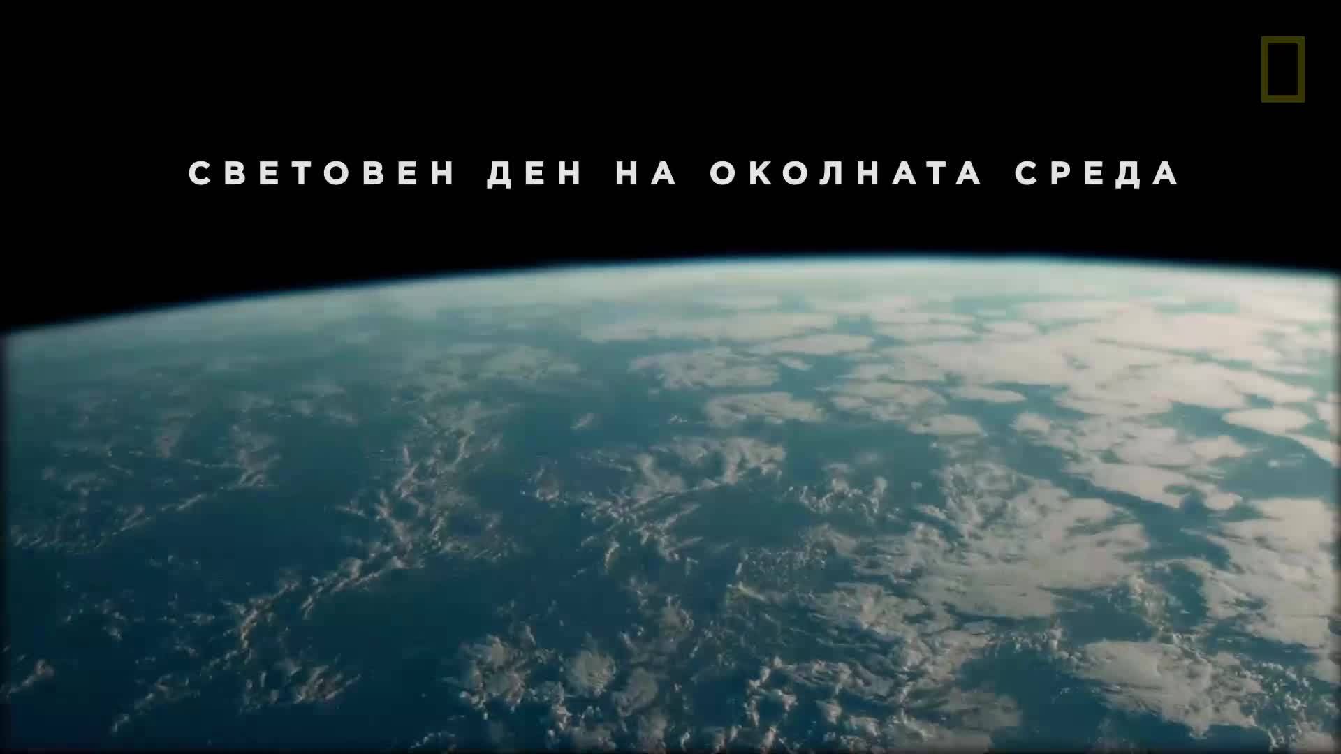 Световен ден на околната среда - 5ти юни