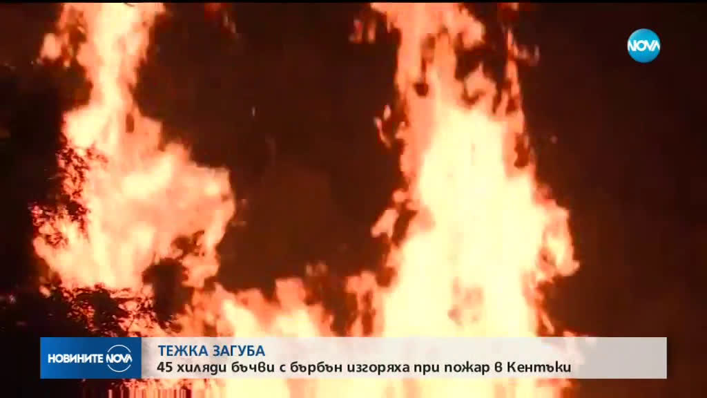 45 000 бъчви с бърбън изгоряха при пожар в Кентъки
