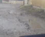 Софийска Реалност ...