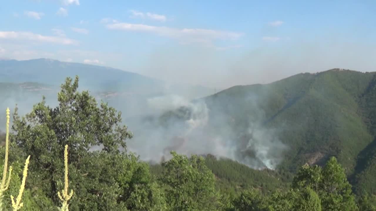 Голям горски пожар край село Стара Кресна