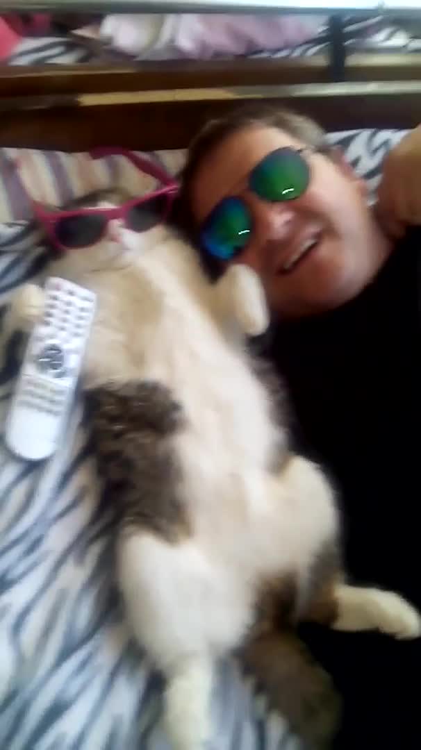 Смях с котка