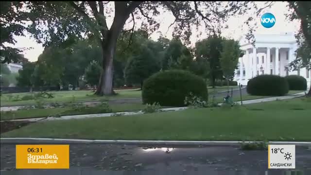 Буря нанесе сериозни щети на двора на Белия дом