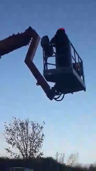 Бургаски пожарникари спасиха коте, заклещено в клоните на дърво
