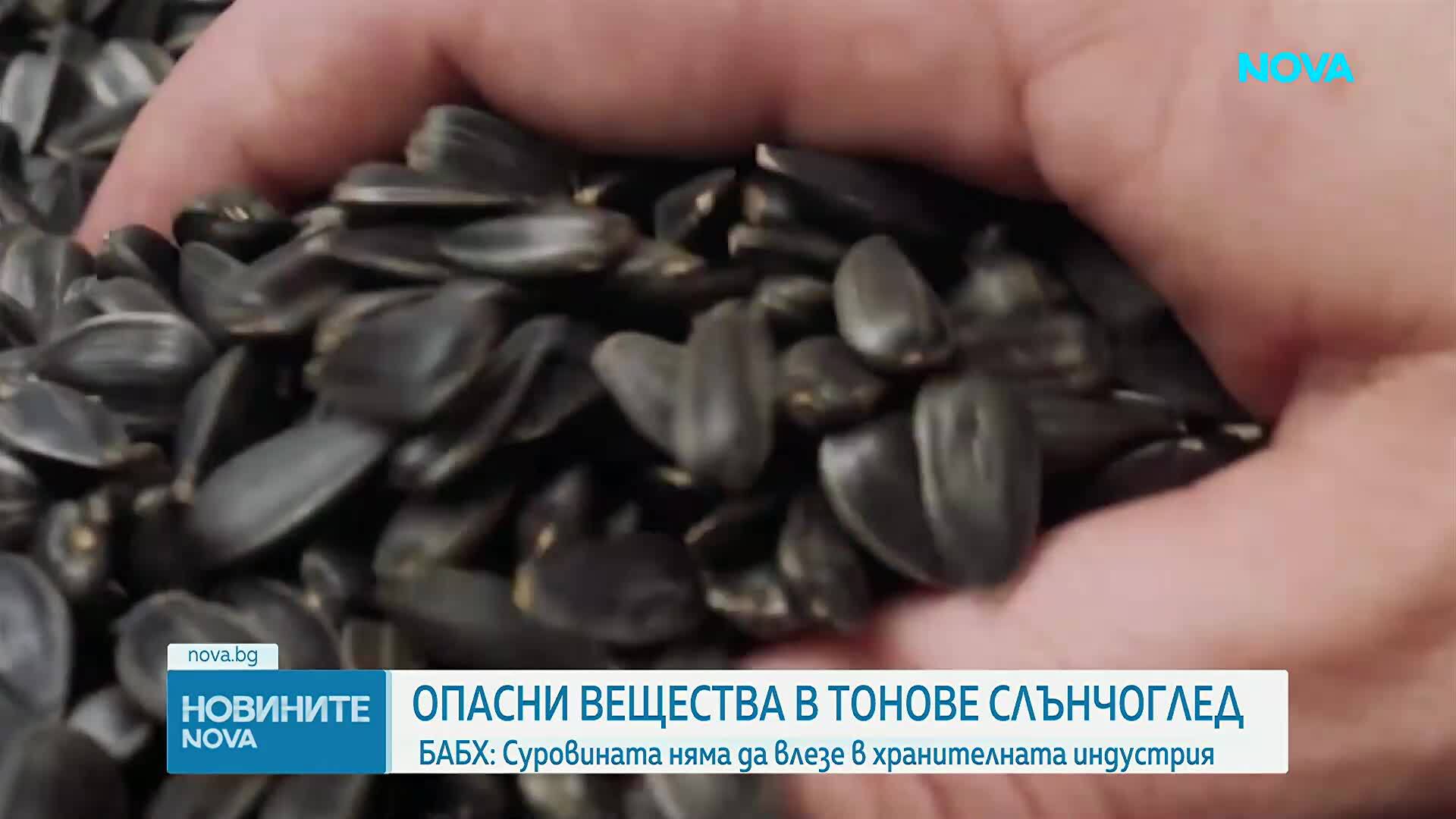 Откриха опасни вещества в тоновете слънчоглед, пристигнали с кораби от Аржентина