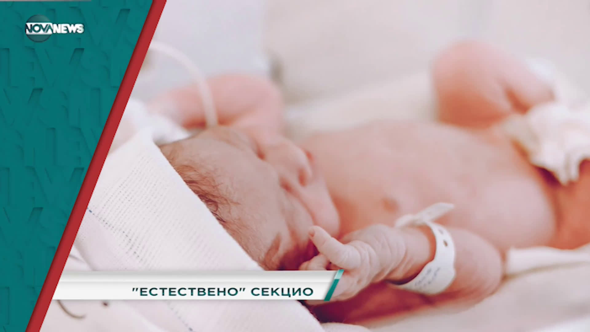 В "Социална мрежа" с водещ Милена Янинска днес от 15:30 ч. очаквайте: