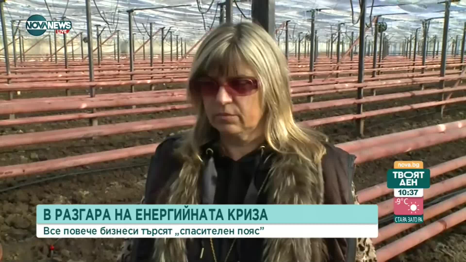 Пелетите - спасителен вариант за производителите срещу високите цени