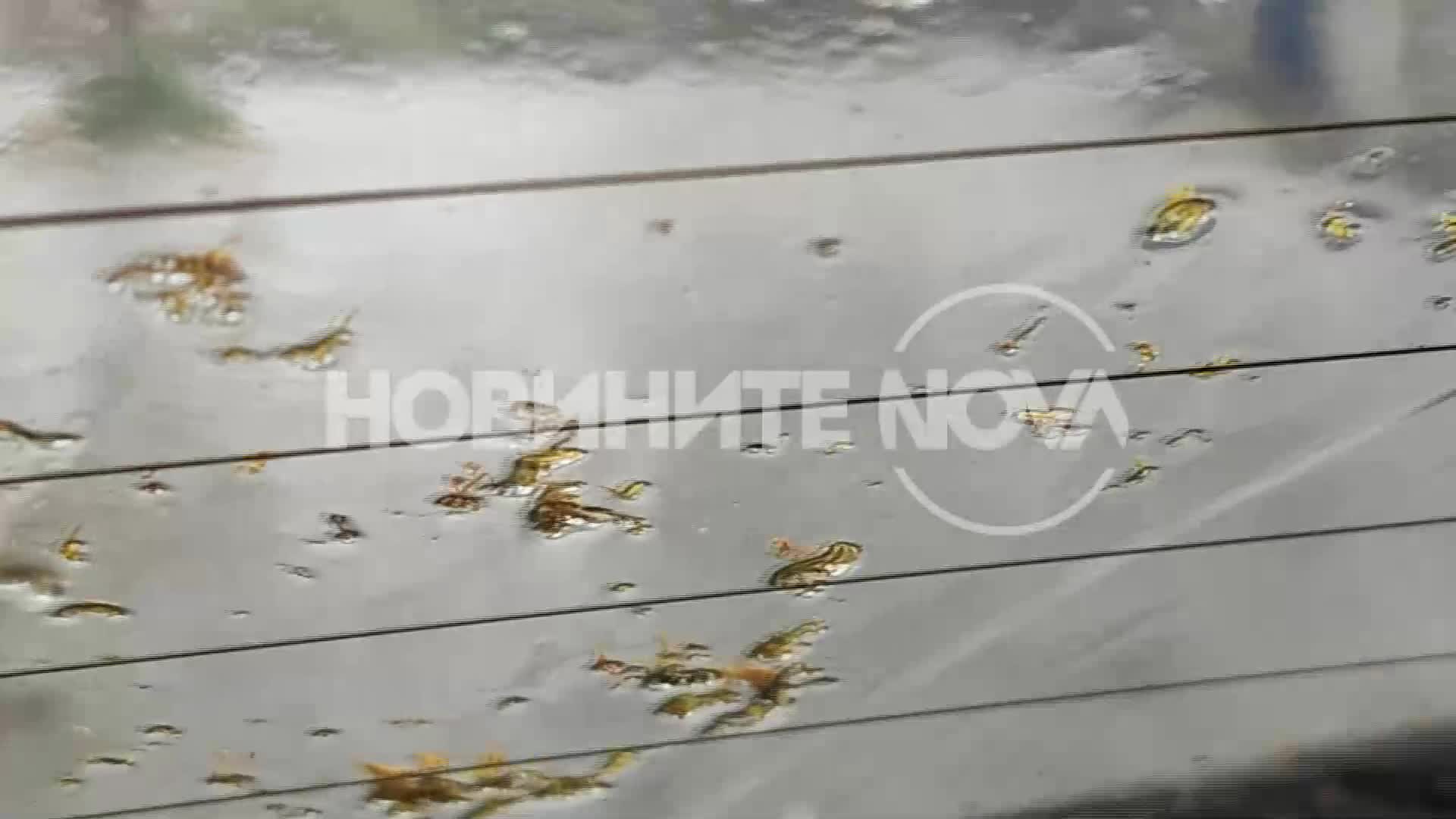 Силна градушка удари Перник