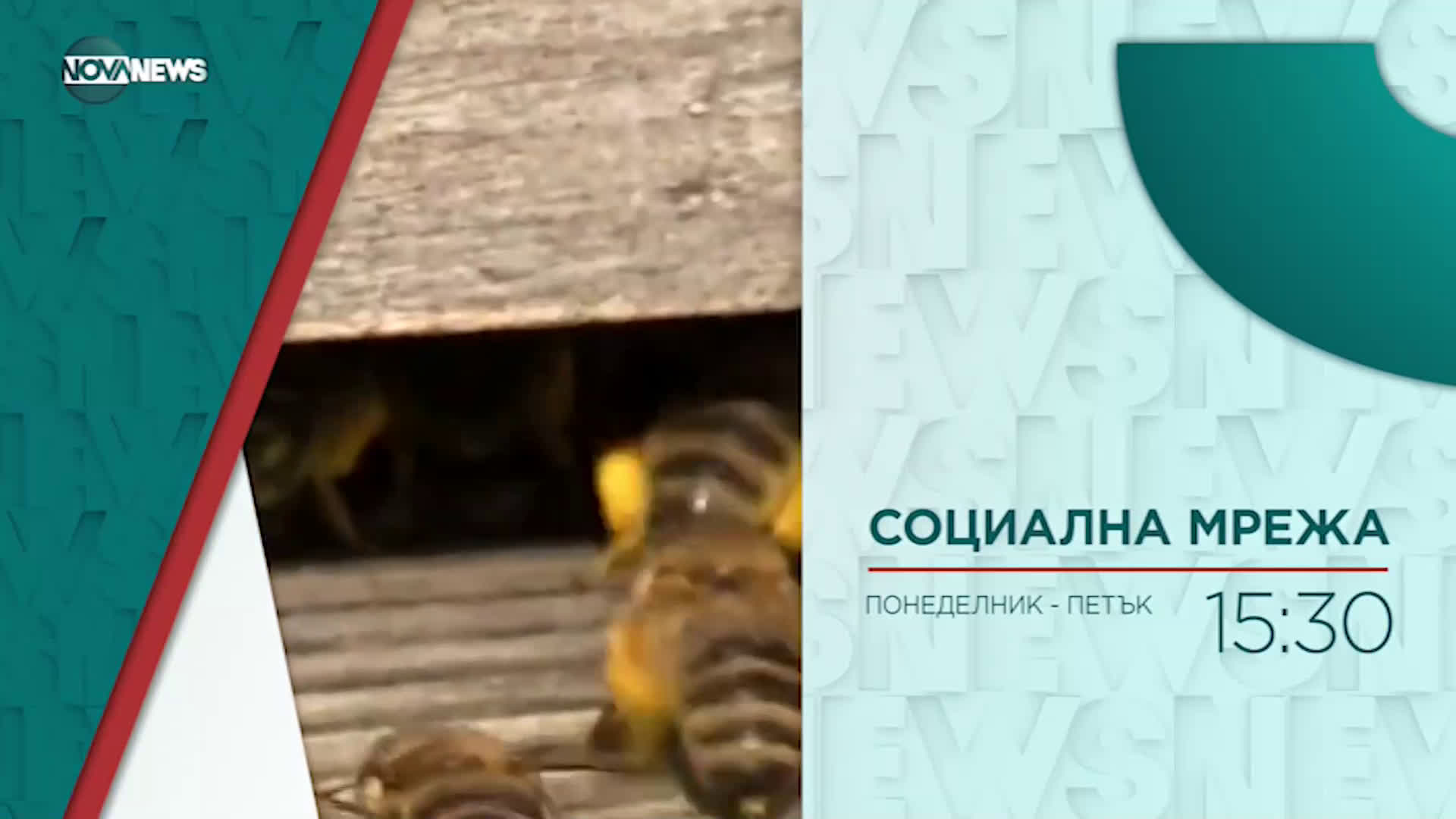 В "Социална мрежа" на 19 април от 15:30 ч. очаквайте