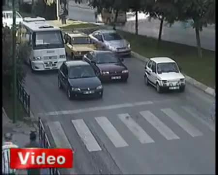Птица пресича през пешеходна пътека Смях 